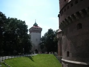 dscn2908 dscn2908