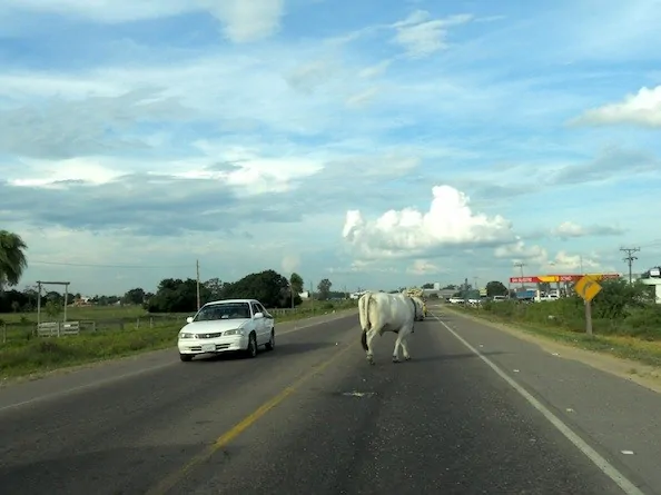 Bolivian roads