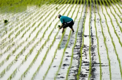 Taiwan is now exporting THIS commodity at record highs