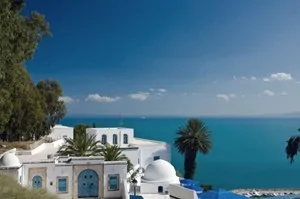 Tunisia: Blood in the streets?