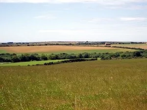 Farmland
