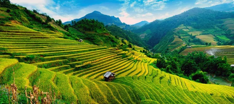 Investing in agriculture