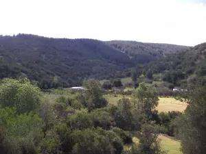 chile-farmland