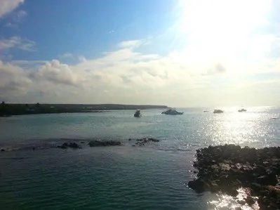 The paradise of Galapagos… and its population controls