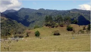 Costa Rica