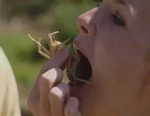 Camel Spider