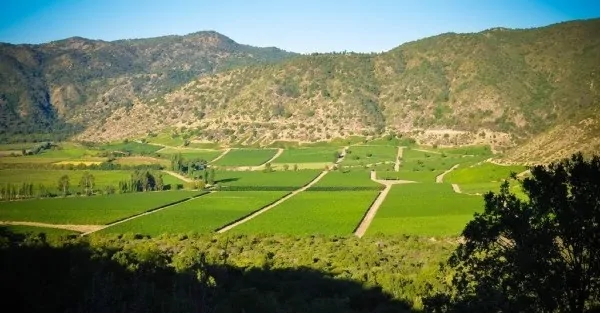 Chile