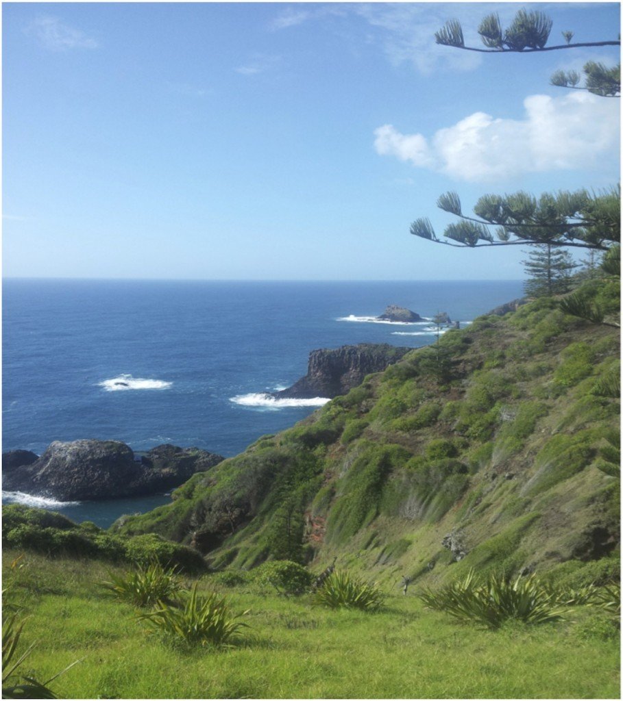 Norfolk Island Vista