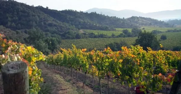 Chile Farmland