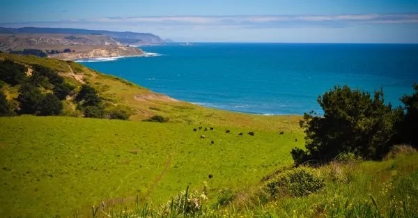 Chile Farmland