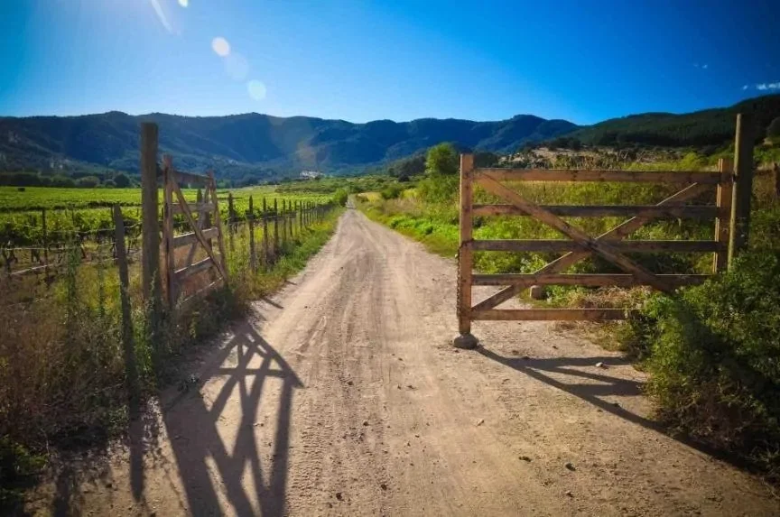 An interesting loophole for Chilean residency