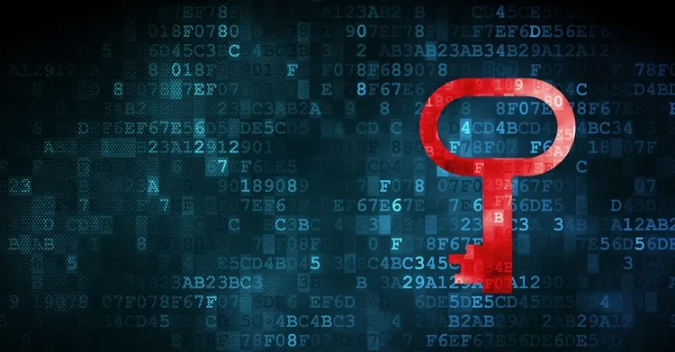 Three digital privacy solutions you should know about