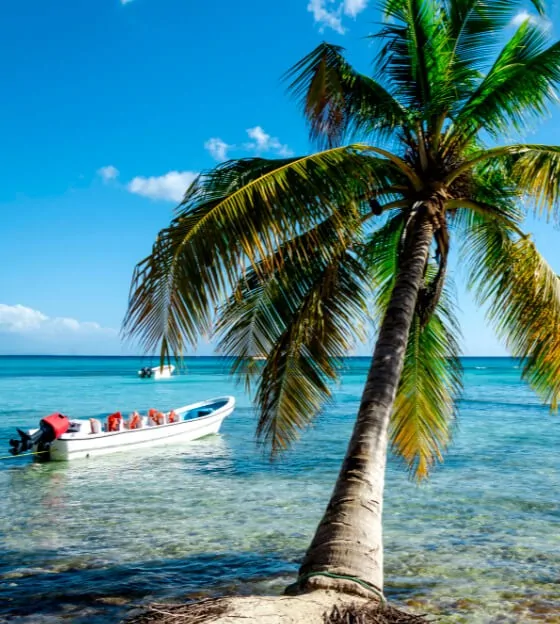 How To Get A St. Kitts & Nevis Passport Through Their Citizenship By Investment Program