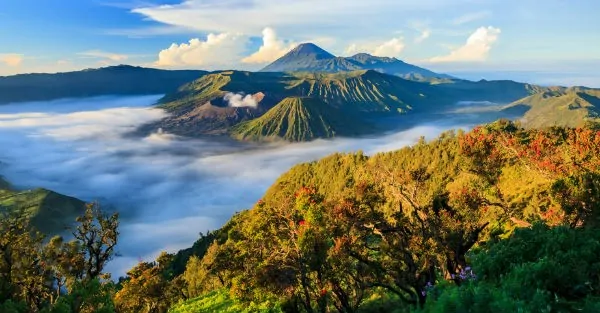 Indonesia