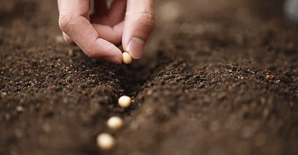 Agriculture-Planting-Seeds