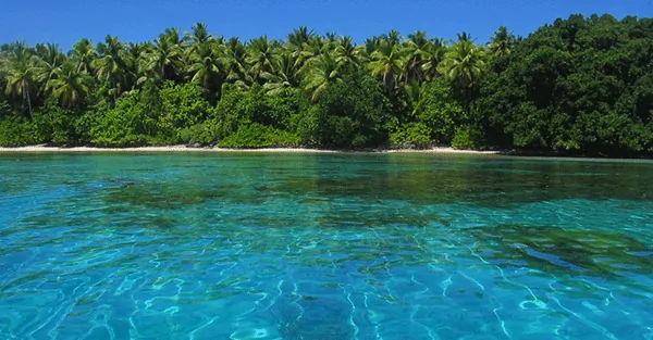 How to use a Marshall Islands corporation to avoid foreign estate tax