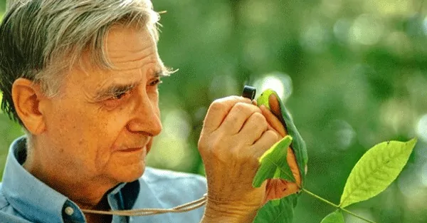 An American biologist sums up financial markets