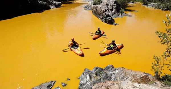 Government “accidentally” poisons major water source