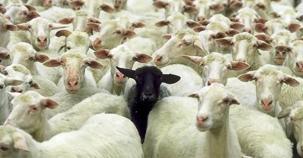 If you don’t conform to the crowd now, you’re a ‘radical’