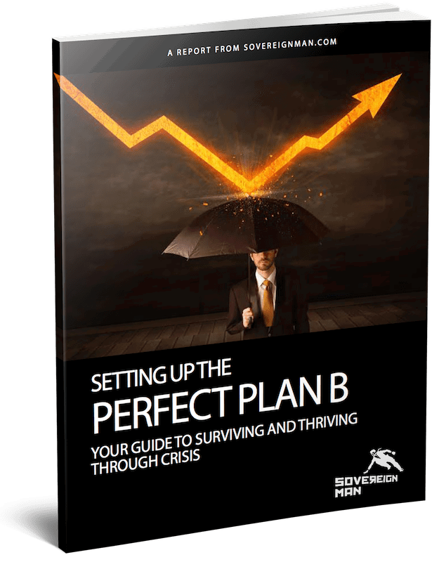 Perfect Plan B Guide | Schiff Sovereign