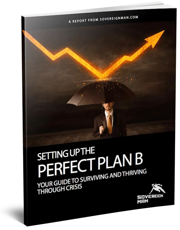 Perfect Plan B Guide