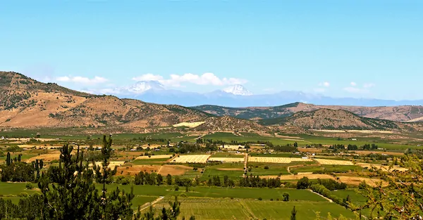 [Video] Quick update from beautiful Sovereign Valley