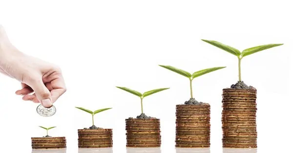 Investing through the Looking Glass