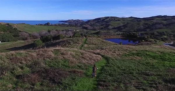 Enjoy this four minutes of paradise