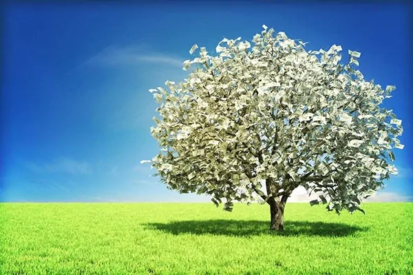 Yes, money does grow on trees