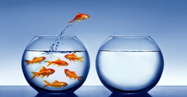 Create more freedom now with these three steps
