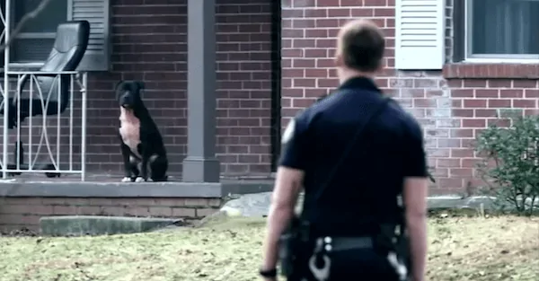 Detroit police murder a family’s dogs in their own home