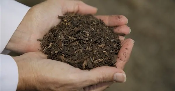 Green Revolution: Washington State to allow composting of human beings