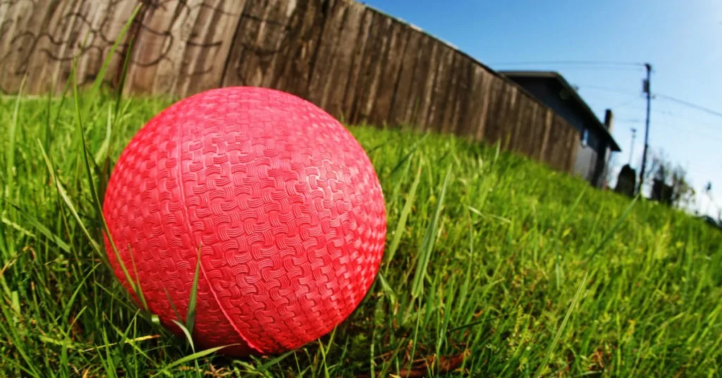 10 year old charged for assault… with a dodgeball
