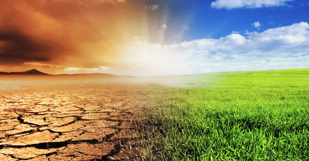Eating human flesh is the latest idea to stop climate change