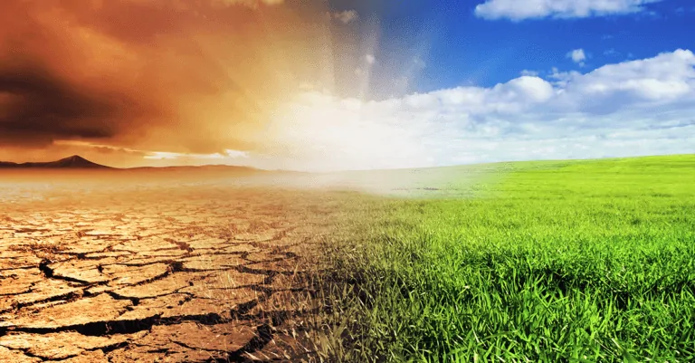 Eating human flesh is the latest idea to stop climate change