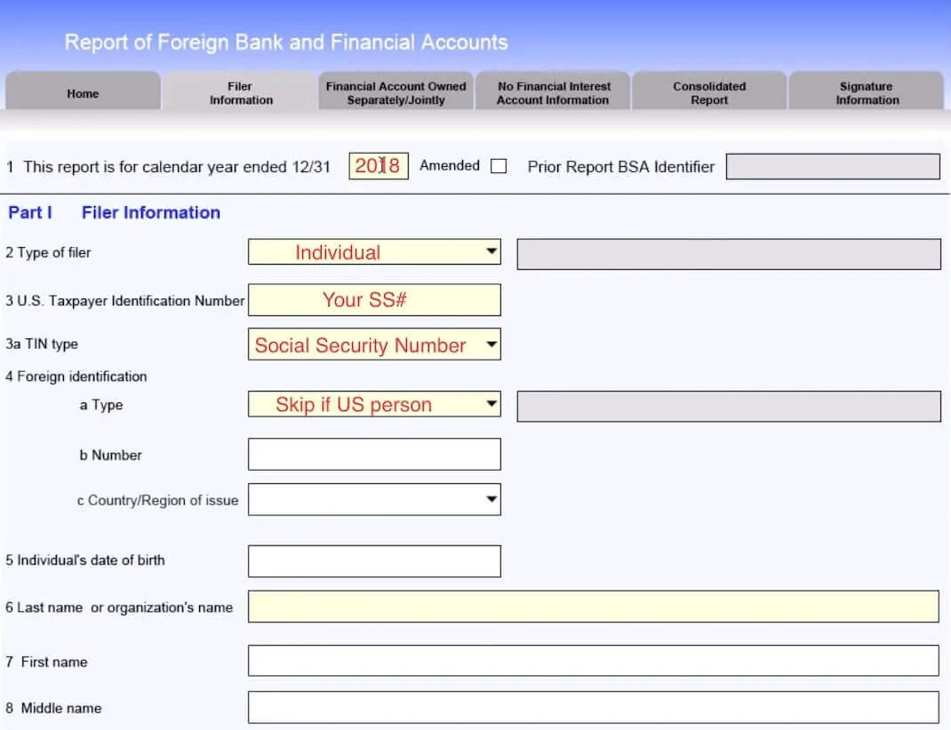 FBAR-2019-filing-process-step-1