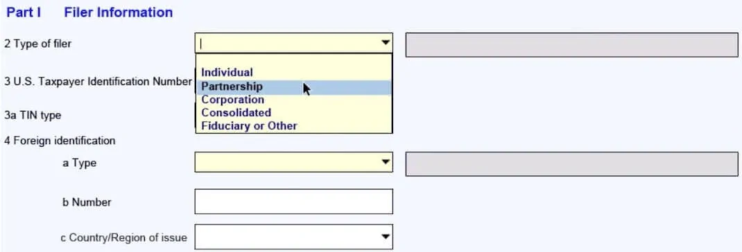 FBAR-2019-filing-process-step-2