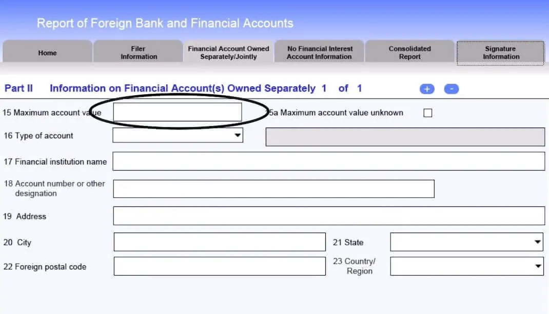 FBAR-2019-filing-process-step-3