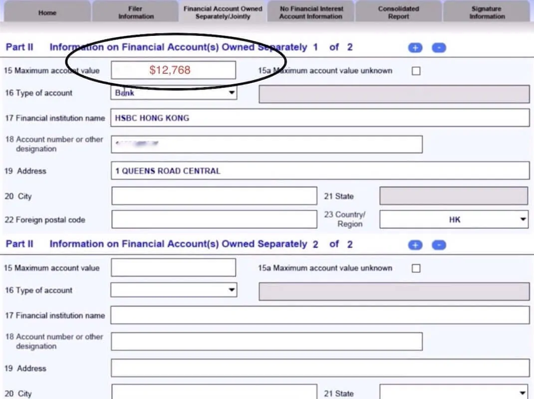 FBAR-2019-filing-process-step-7