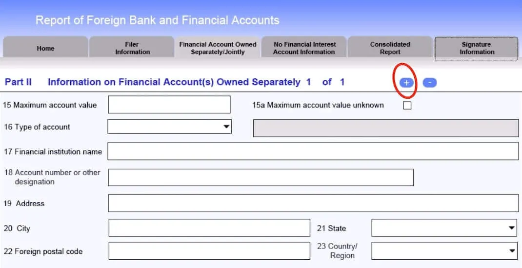 FBAR-2019-filing-process-step-8