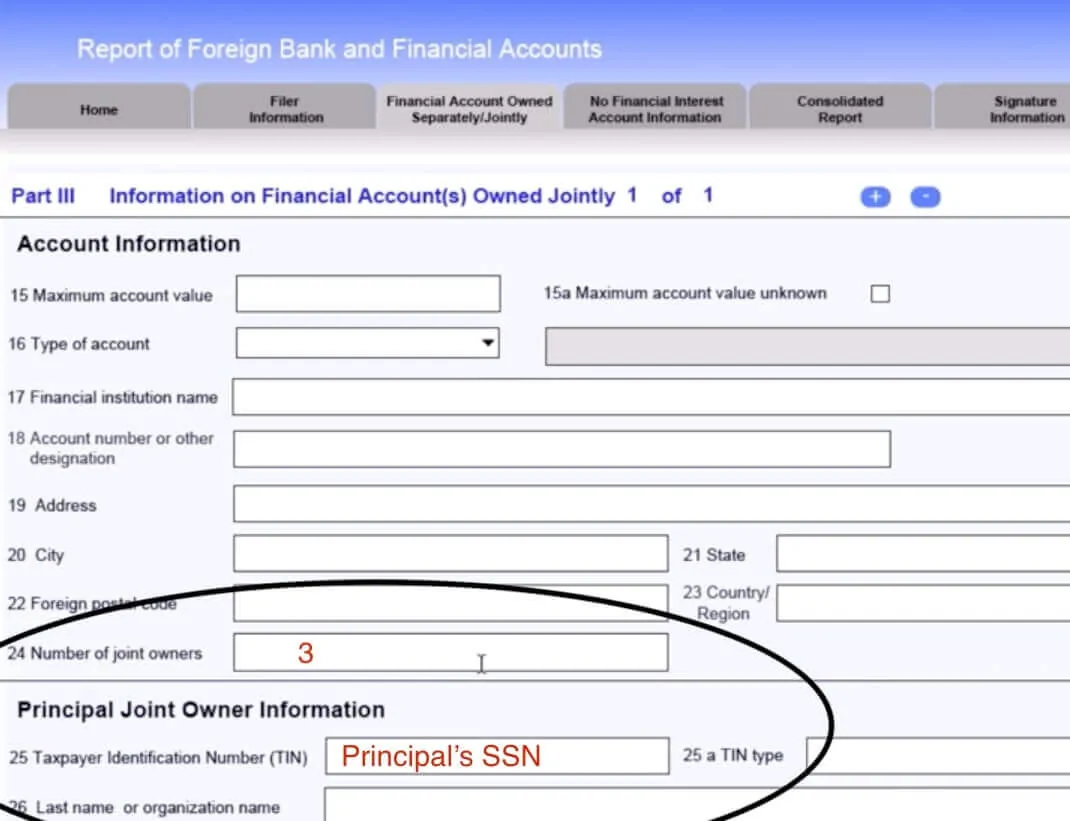 FBAR-2019-filing-process-step-9