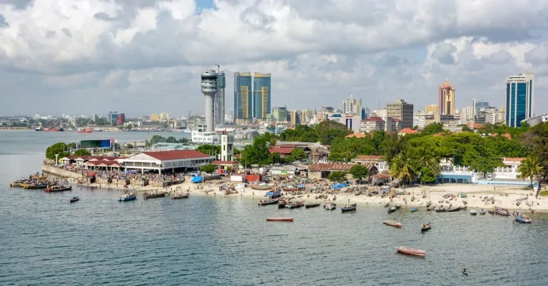 Tanzania: Come for the nature, stay for the stock market