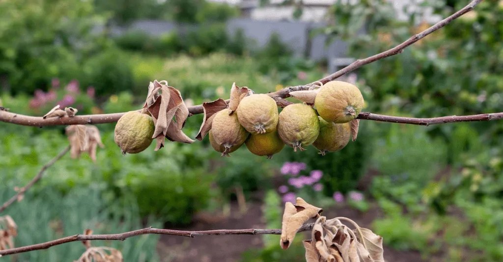 It turns out you -can- spot a bad apple. You just can’t remove one
