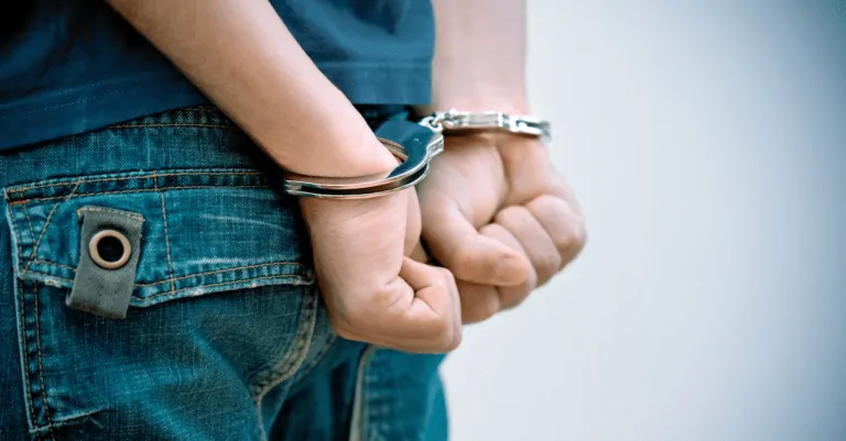 Another 8-year old ‘criminal mastermind’ arrested