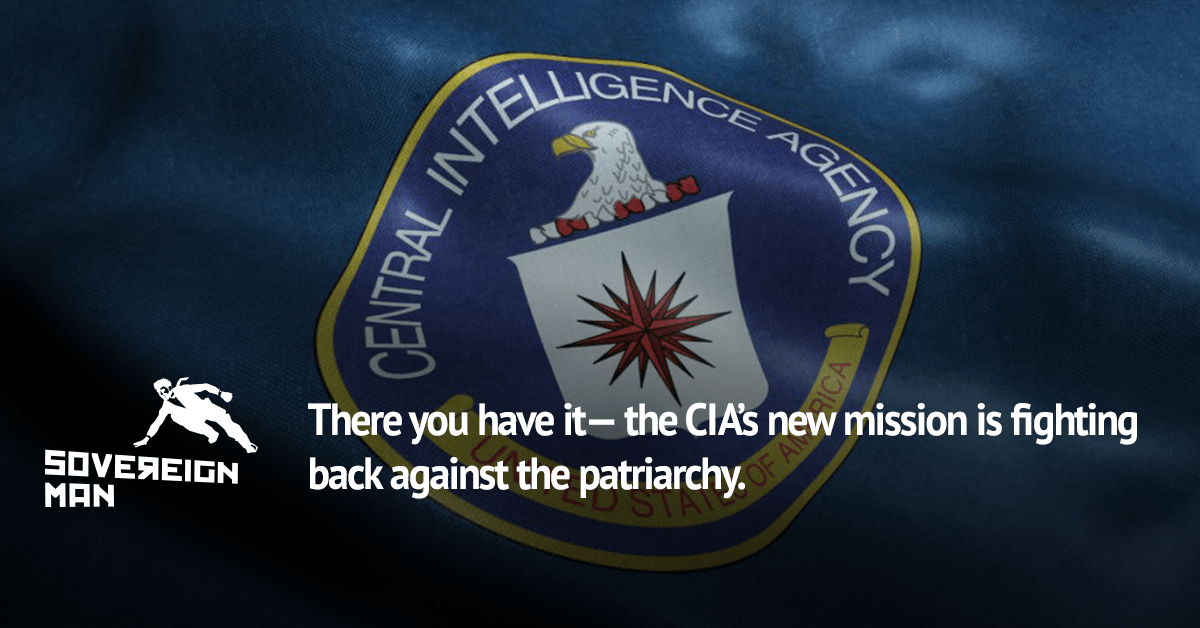 CIA goes full woke in new recruiting campaign | Schiff Sovereign