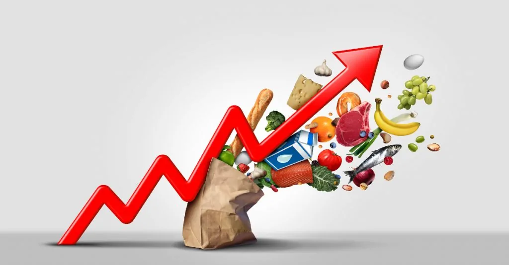 Here’s why Rising Food Prices are here to stay