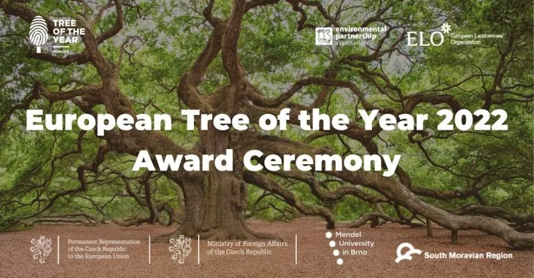 Take that Putin! Russia disqualified from “Tree of the Year” contest