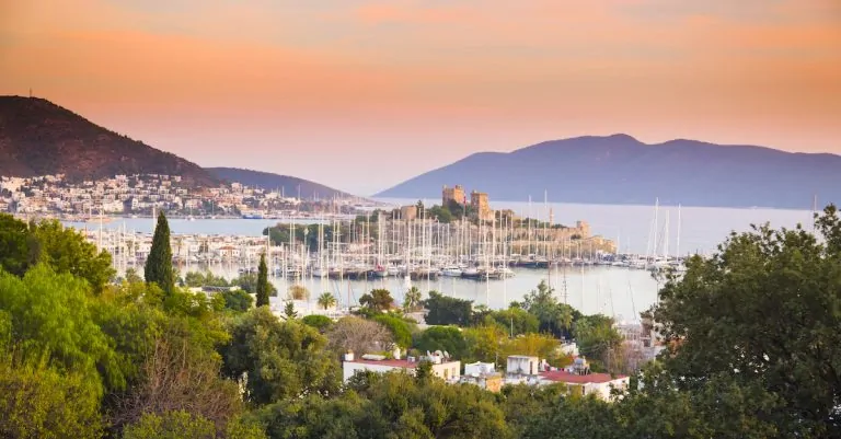 A Passport With an Ocean View That Pays a Dividend